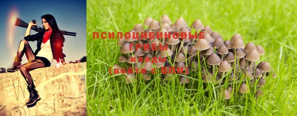 герыч Лиски