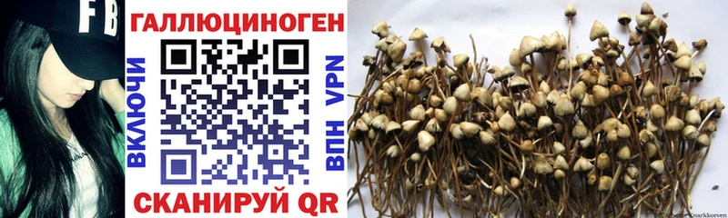 Псилоцибиновые грибы GOLDEN TEACHER  хочу   Отрадная 
